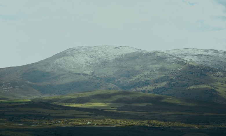 4 adimda is hayatinda basariya ulasma rehberi